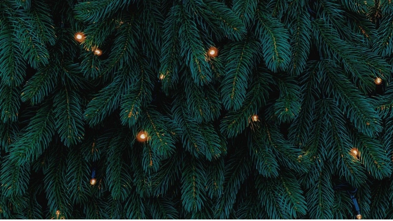 Christmas Garland Close-Up Wallpapers