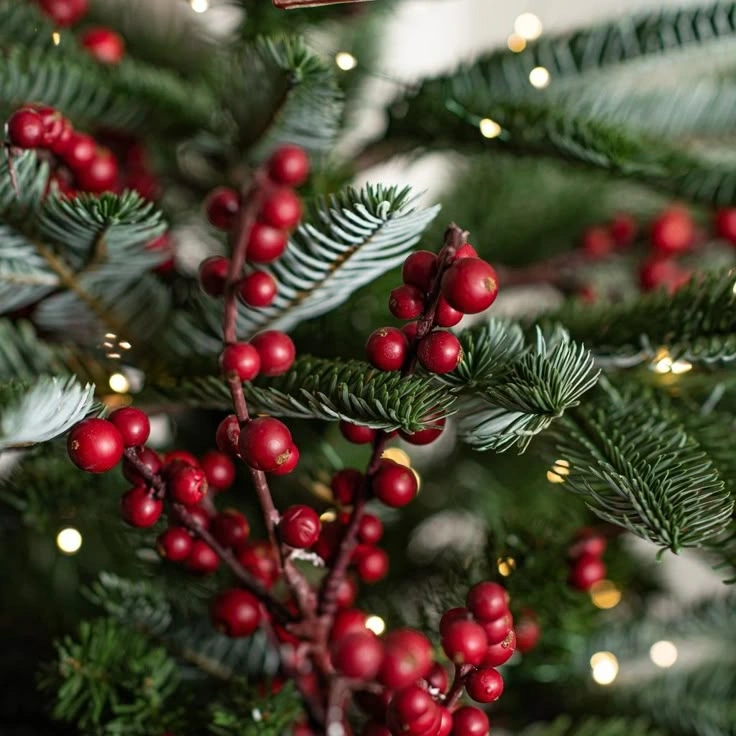 Festive Red Berry Christmas Wallpaper