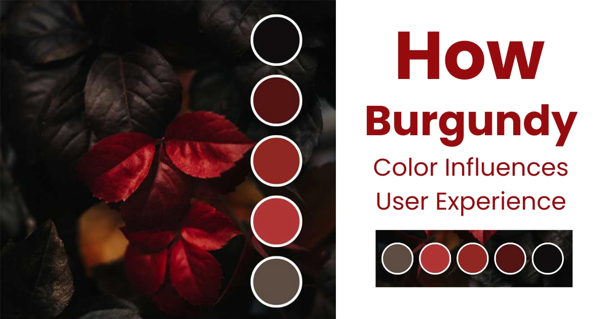 How Burgundy Color Influences User Experience