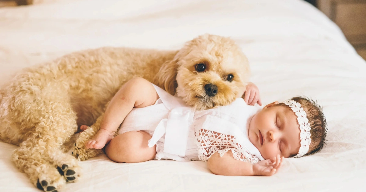 Sibling and Pet Involvement