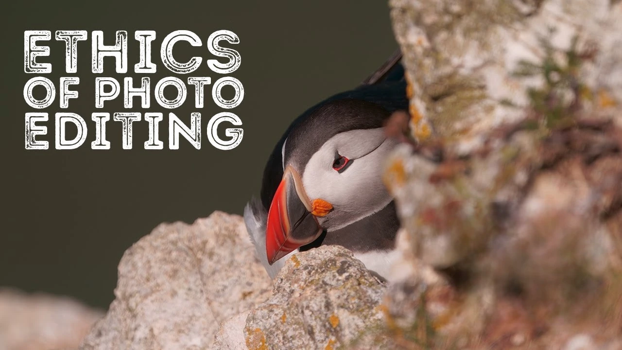 Sustainable and Ethical Editing Practices