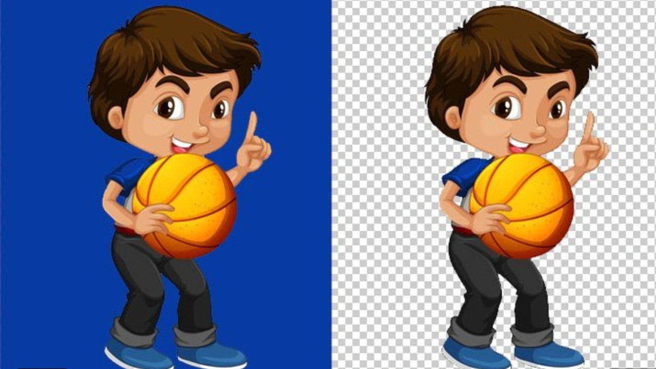 What Are the Differences Between JPEG and PNG Files