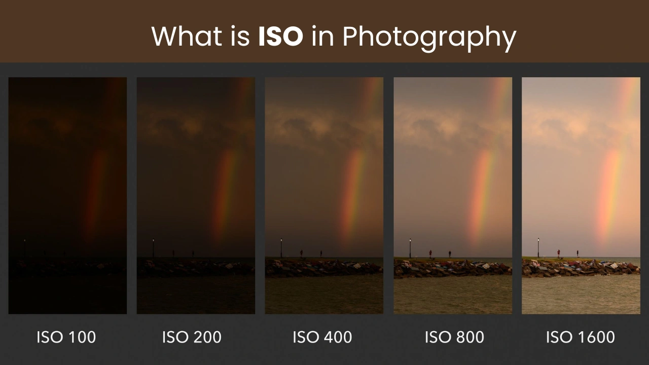 What is ISO in Photography