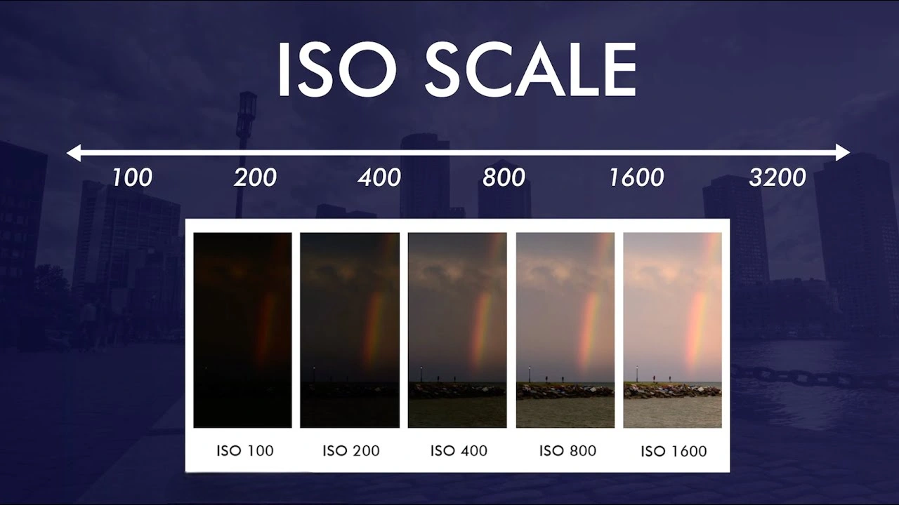 Which ISO Should You Use on Your Camera with ISO Scale