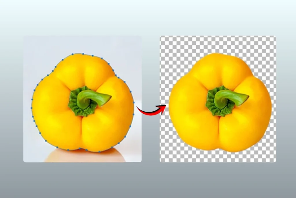 A Complete Guideline of Clipping Path Cutout Partner