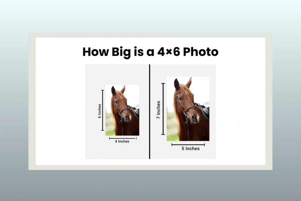 How Big Is a 4×6 Photo Complete Guide from Inches to Pixels
