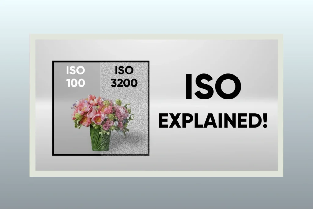 What Is ISO in Photography A Beginner’s Guide to Understanding ISO