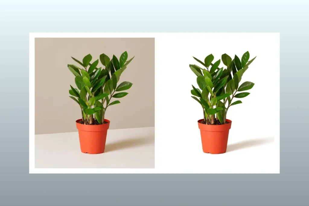 Mastering Shadow Creation in Product Photography for Ultra-Realistic Images