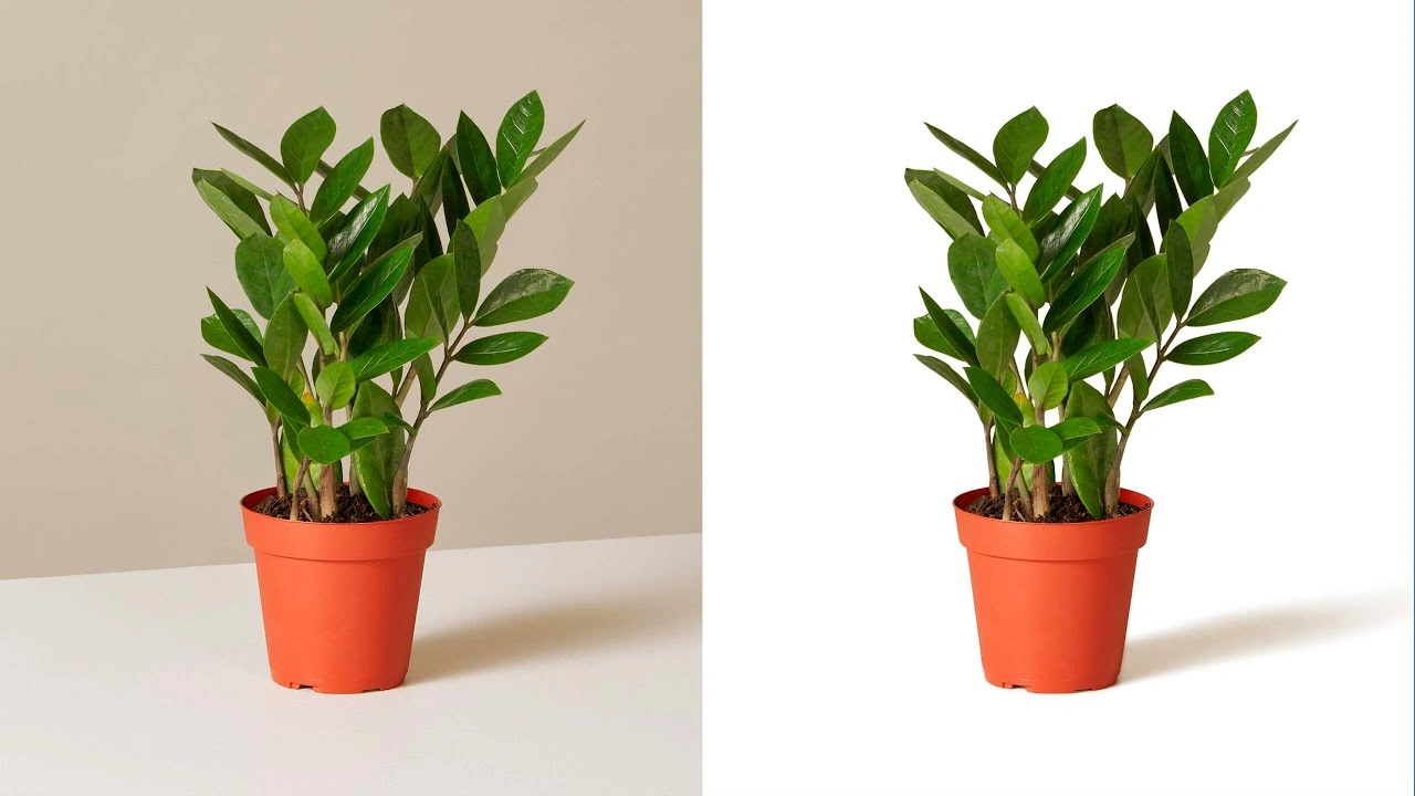 Understanding Product Shadows in Photography