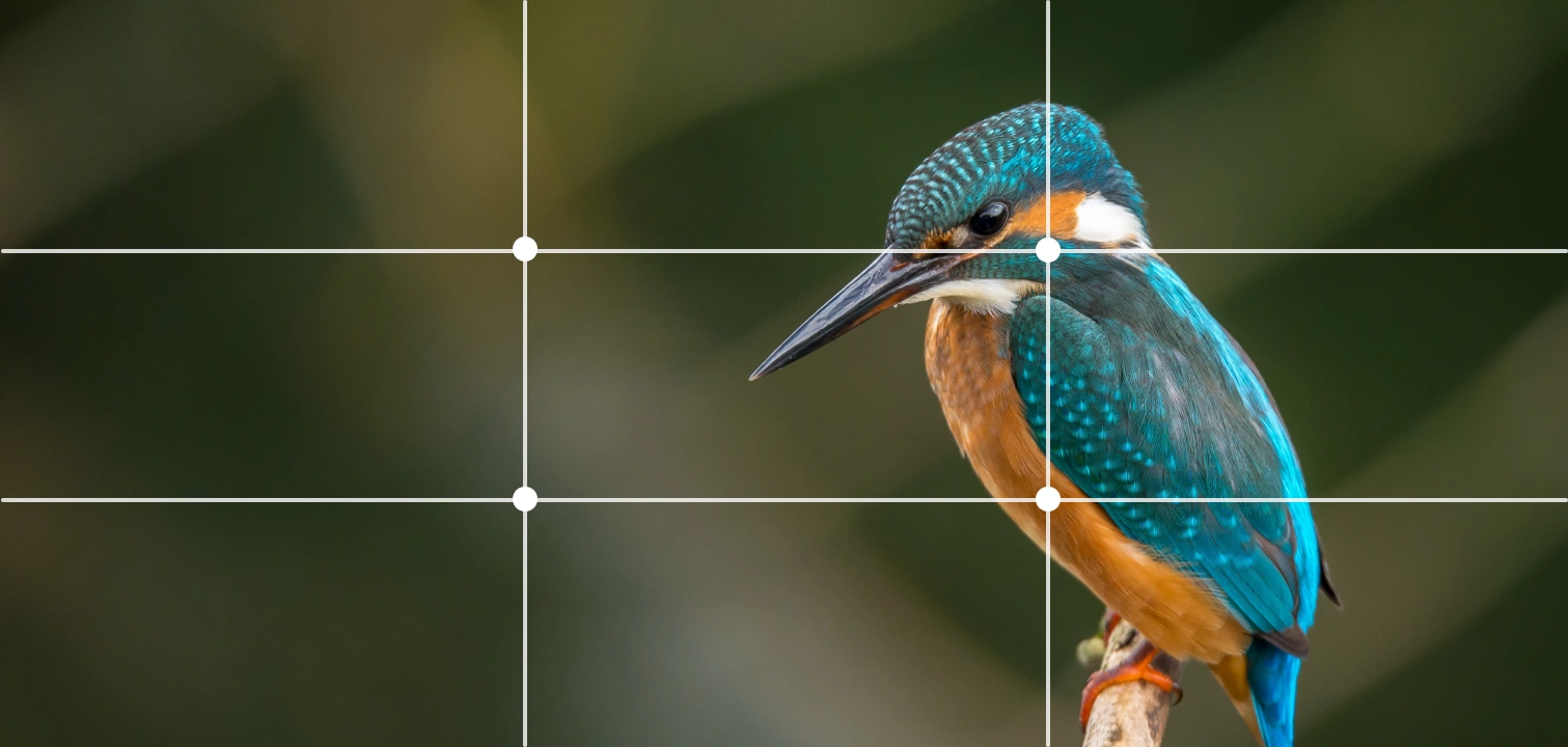 Example 3 - rules of thirds