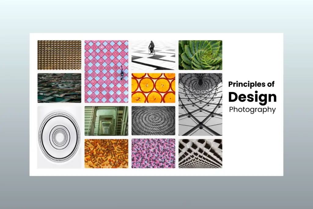 How to Use the 7 Principles of Art and Design in Photography