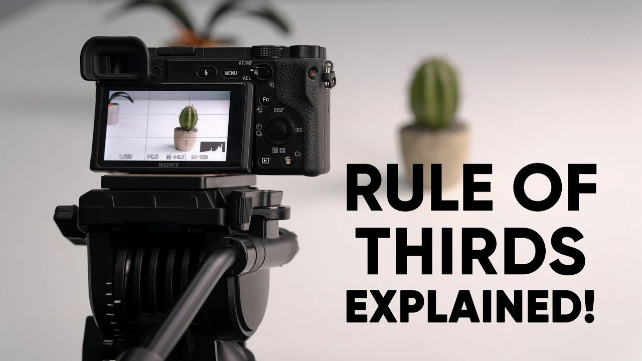 How to Use the Rule of Thirds for Images