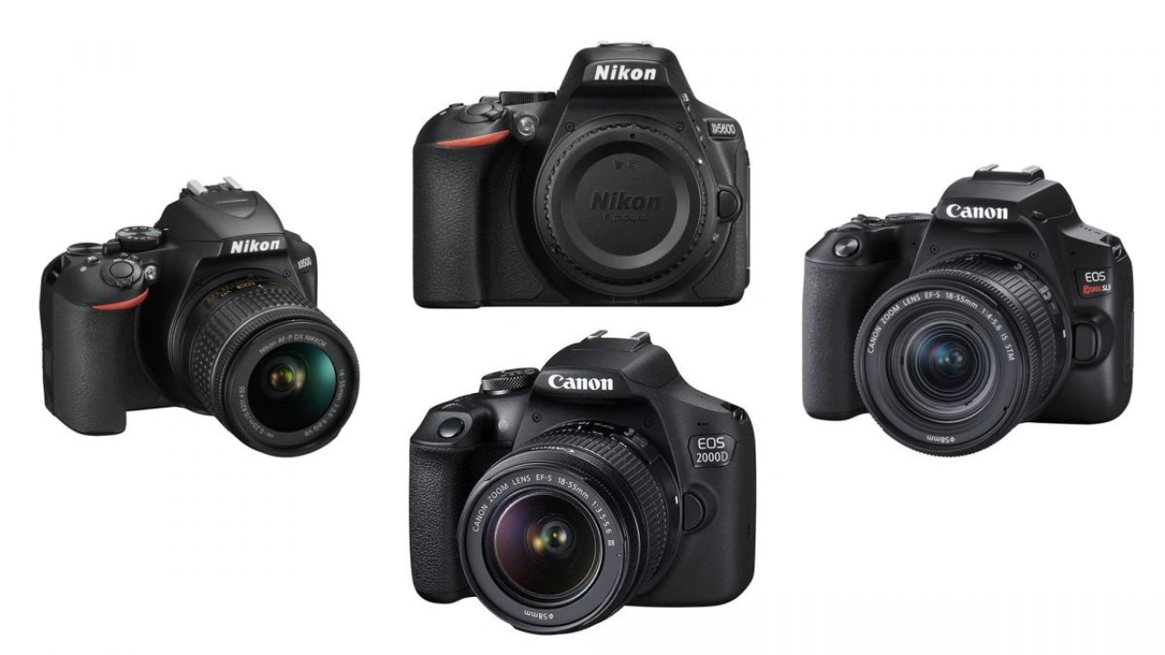 Best Cameras for Beginners