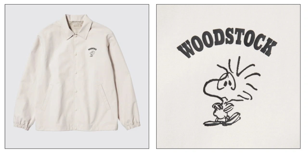 Detail and Texture Capture