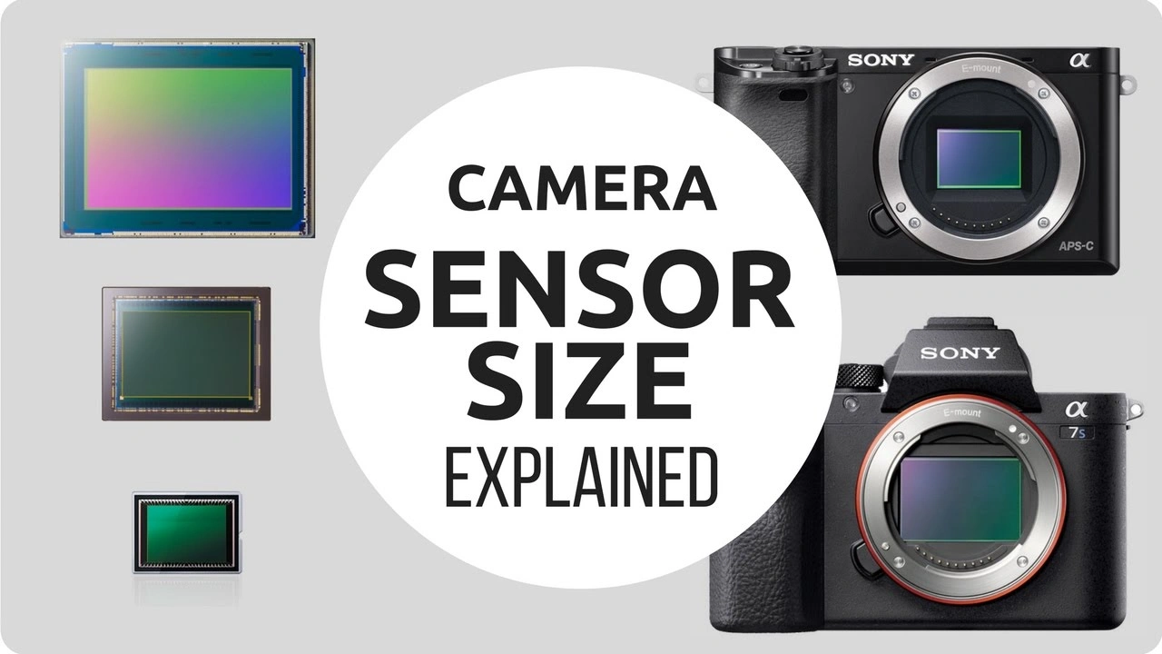 Packshot Camera Sensor Sizes