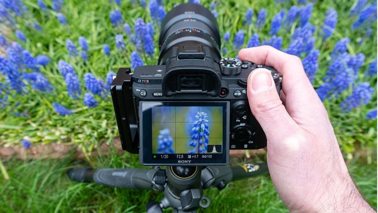 The Macro Shot (Close-Up)