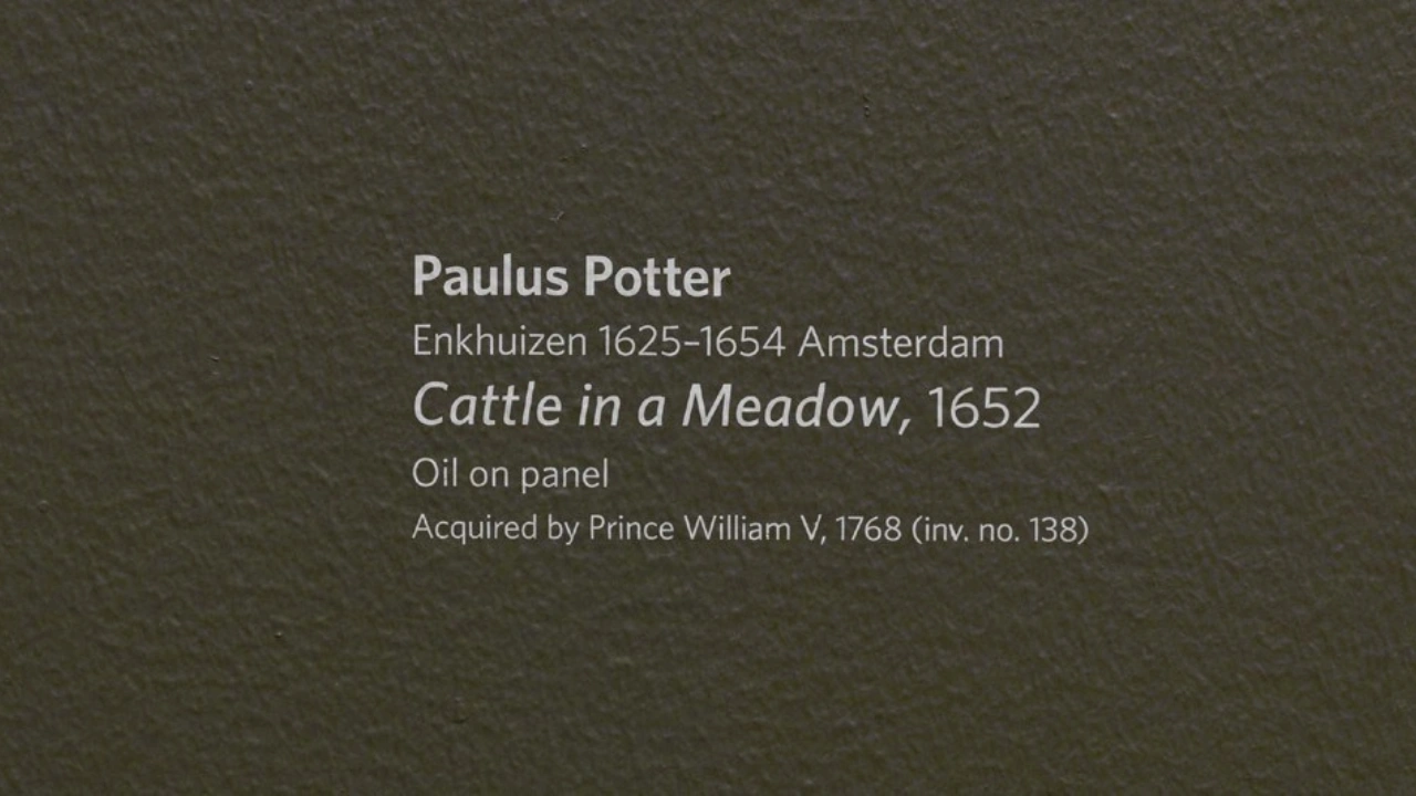 Why Labeling Important in Photography